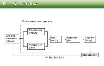 RBI/MI Overview