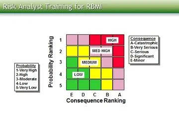 Risk Analyst Training for RBMI